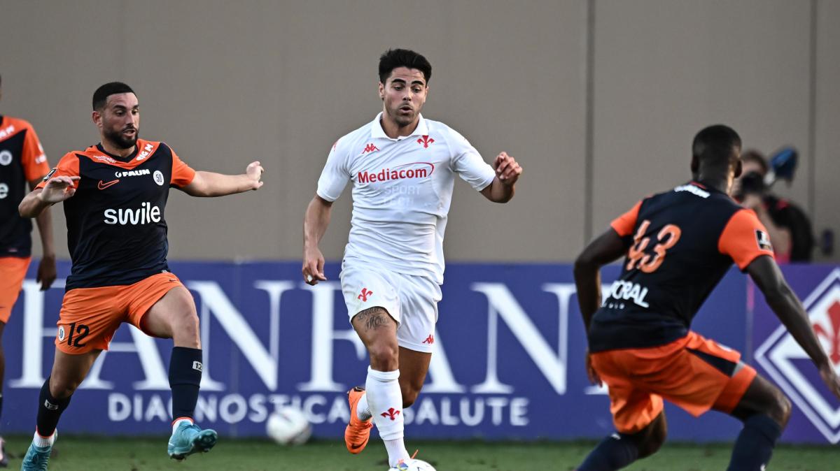 Sampdoria, Ferri verso l'addio