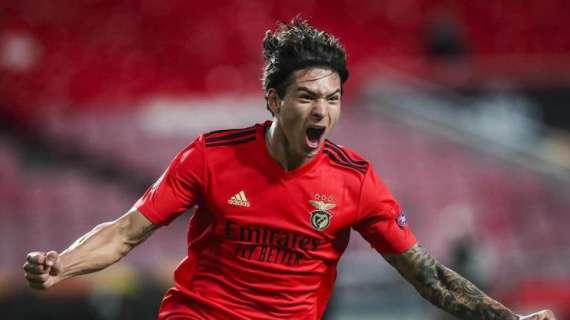 Il Benfica annuncia: "Darwin Núñez al Liverpool". Le cifre definitive
