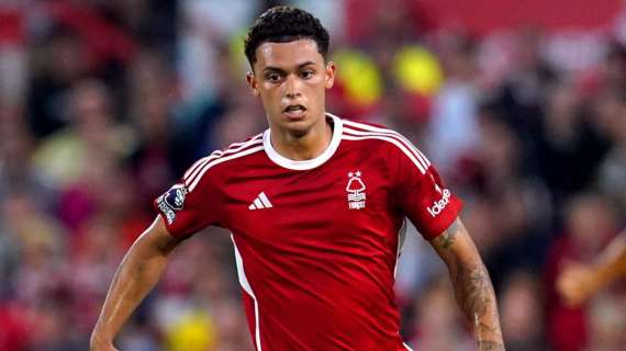 Tottenham, Brennan Johnson è il grande obiettivo in attacco
