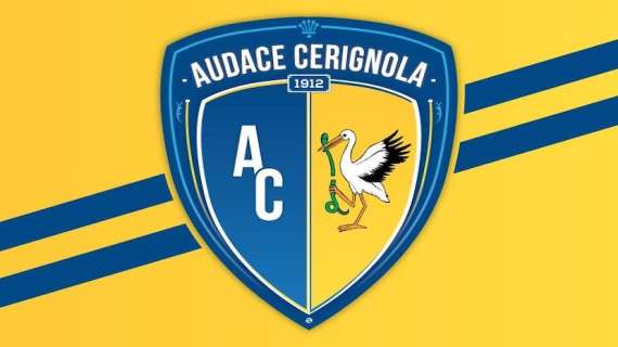 Cerignola, torna D'Andrea