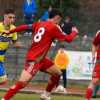 Cittadella Vis Modena in pressing su un play che viene da due playoff vinti