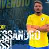 Ancora cinque annunci di mercato da parte della Costa Orientale Sarda