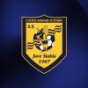Juve Stabia, cosa succede ora? Ecco cosa rischiano le Vespe