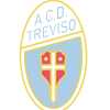 Treviso, ripescaggio in Serie C: strada in salita e costi proibitivi