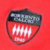 UFFICIALE: Sorrento, depositata la documentazione necessaria all'iscrizione in Serie C