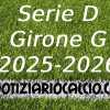 Serie D 2025-2026: E se il Girone G fosse composto così?