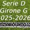 Serie D 2025-2026: nuova ipotesi sulla composizione del Girone G