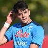 Modena, le ultime manovre: Harder vicino, sondaggi per Ambrosino e Rao