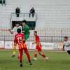 Serie D, l'esperienza come fattore chiave: i dati del girone I