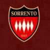 Il Sorrento incontra il Commissario Straordinario per lo stadio Italia