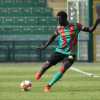 Svincolati - 24enne senegalese ex Perugia e Messina
