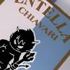 Entella-Sampdoria, Chiappella: «Squadra serena per il derby storico»