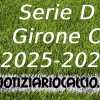 Serie D 2025-2026: E se il Girone C fosse composto così?