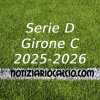 Serie D 2025-2026: terza ipotesi NC sulla composizione del Girone C