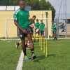 Un rigore non basta: la Castellanzese si arrende al Gozzano nell'ultimo test pre-campionato