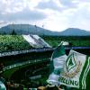 Avellino, febbre da stadio: superata quota 5mila abbonamenti in un soffio