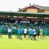 Serie D 2024-2025: riguardiamo i verdetti del girone A