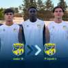 Gravina: aggregati altri calciatori in prima squadra