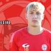 L'Oltrepò si rinforza con due talenti: firmano Kozlovic e Speziale