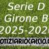 Serie D 2025-2026: E se il Girone B fosse composto così?