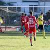 Il numero di calciatori stranieri tesserati nel girone A di serie D