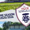 Vigor Senigallia, definito il programma precampionato