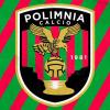 Polimnia, dal Comune garanzie sullo stadio Madonna d'Altomare. Ripescaggio in Eccellenza?