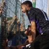 Serie D, girone F: marcia inarrestabile dell'Ostiamare, l'Ancona prova a tenersi in scia
