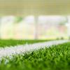 Il Treviso ha perso il campionato, Caos Empoli, Tante news di mercato: le top news delle 13