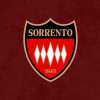 Sorrento, la speranza: nominata la nuova responsabile per lo stadio Italia