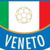 C.R. Veneto, definita la struttura dei gironi di Eccellenza