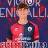 UFFICIALE: Vigor Senigallia, accordo con Pandullo