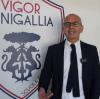 «Non credo ci siano ragioni per temere defezioni»: il punto di Andrea Gambelli sugli sponsor della Vigor Senigallia
