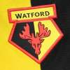 Watford, cambio in panchina: esonerato Bilic, arriva Wilder