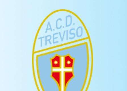 Treviso, il presidente Visentin: "Affiliazione col Chievo? Campata in aria..."