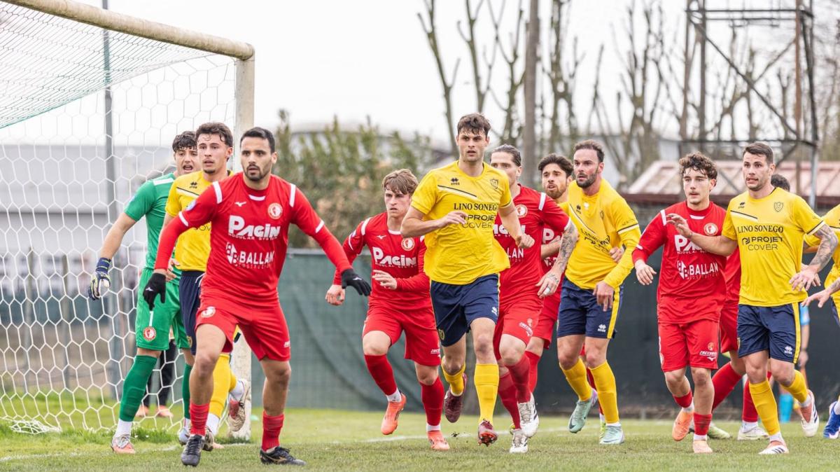 Oltre la salvezza: il "Muro" di Pontarollo e l'uragano Piu-Colombi. Così il Conegliano vola