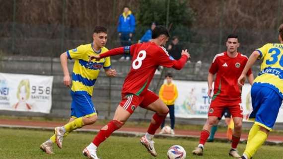 Cittadella Vis Modena in pressing su un play che viene da due playoff vinti