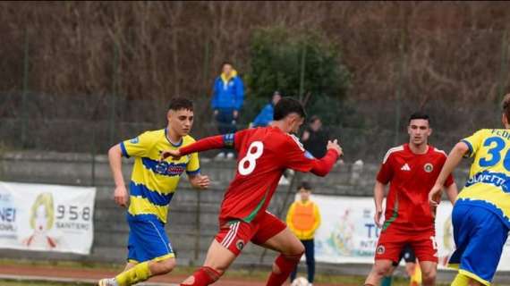 Novaromentin: un altro club di D in pressing su Gigi Dodaro