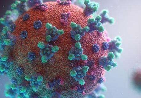 Coronavirus, dalla Francia: «Il vaccino non arriverà prima di altri 18 mesi»