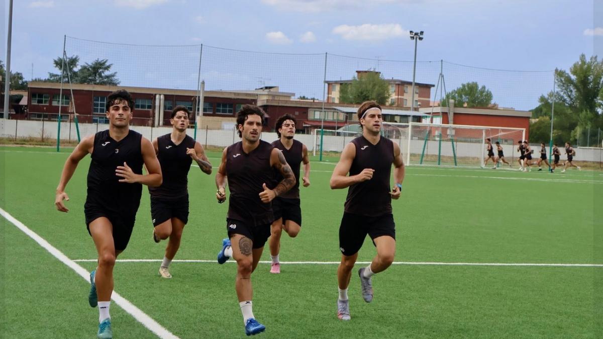Serie D, il numero dei calciatori impiegati: i dati dei nove gironi