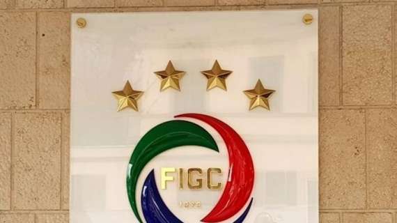 Figc, nasce la Black list per l'acquisto dei club. Le retrocessioni dalla Serie C diventano cinque e basteranno due rinuncie per...