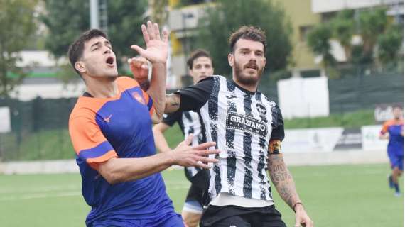 Serie D, l'esperienza come fattore chiave: i dati del girone F