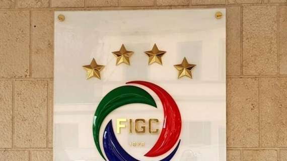Figc, per la "poltrona" di presidente c'è accordo elettivo tra LND, Lega Pro, AIAC e AIA