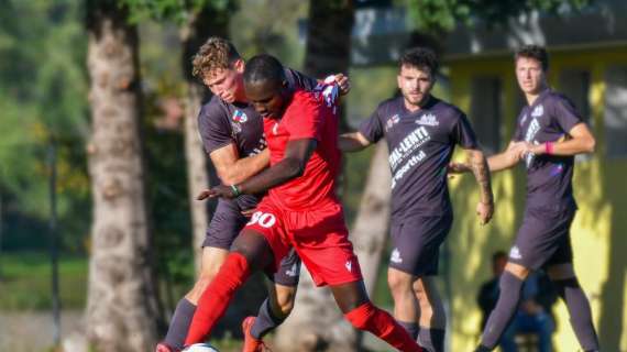 La Dolomiti Bellunesi contro la Luparense per andare avanti la Coppa Italia