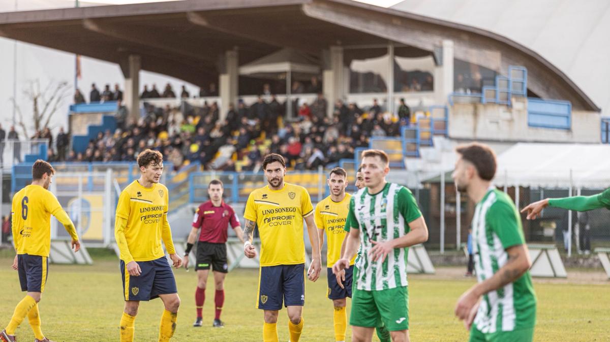 Serie D Girone C: Conegliano domina la classifica dell'esperienza davanti a Cjarlins Muzane
