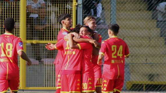 Serie D: le "magnifiche nove" che festeggiano la promozione in Serie C