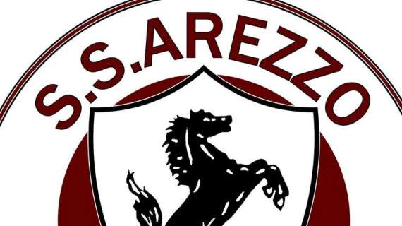 Arezzo, il club chiarisce: «Niente ripescaggio in Serie C»