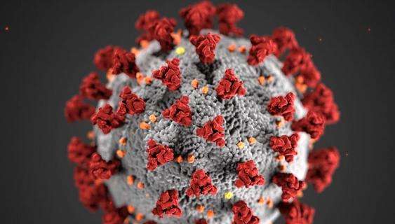 Coronavirus, il bollettino: in Italia 16.079 nuovi contagi e 136 morti