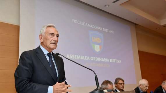 Figc, Gravina: «Confuso debito societario della proprietà con quello dell'Inter»