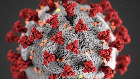 Coronavirus, la Johns Hopkins University: oltre 320mila morti nel mondo